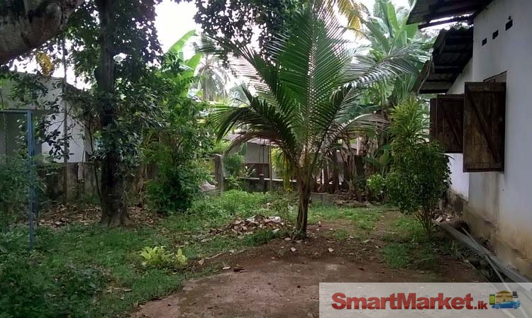 Land for Sale in Ragama.