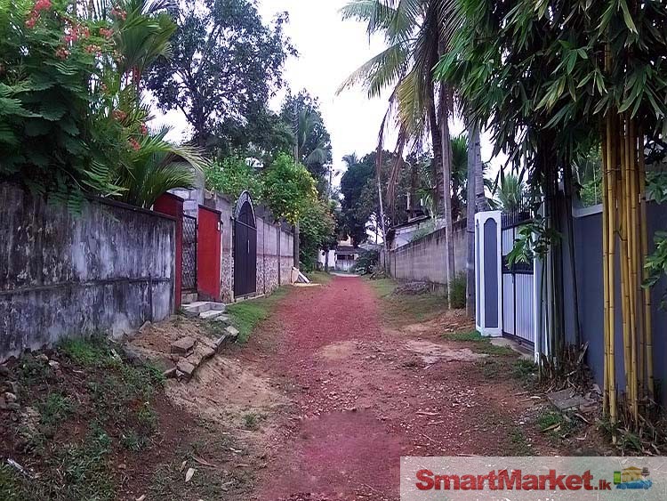 Land for Sale in Ragama.
