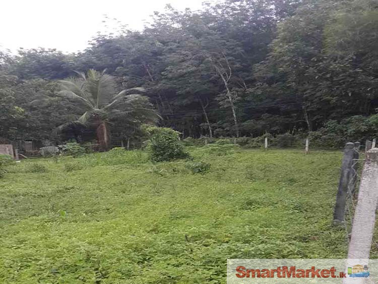 32 Perches Land for Sale in Padukka