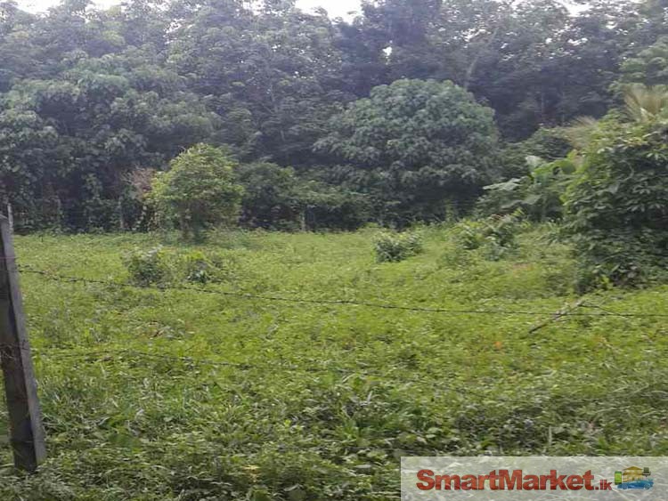 32 Perches Land for Sale in Padukka