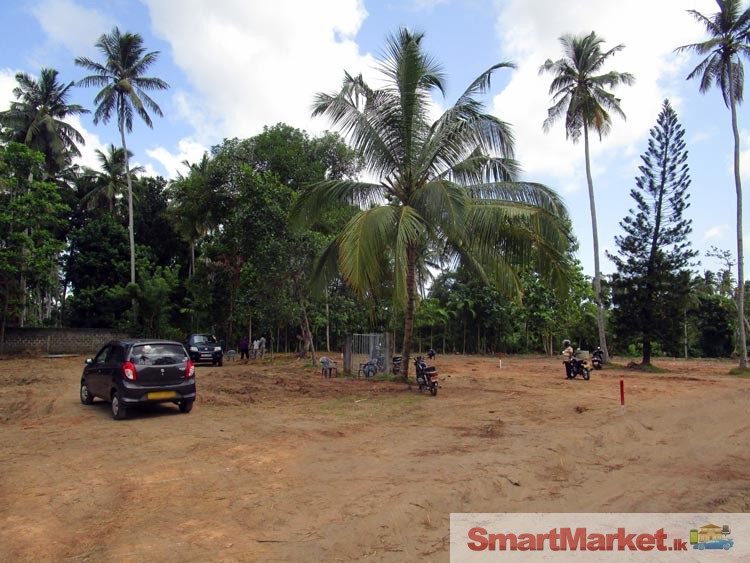 Land Blocks for Sale in Katana, Negombo.
