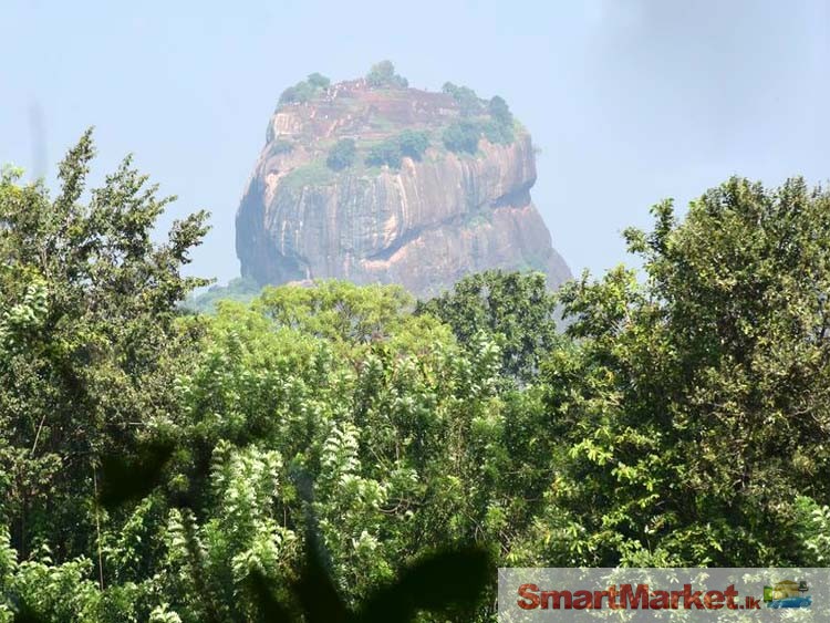 Land for Sale at Sigiriya with nice Rock View