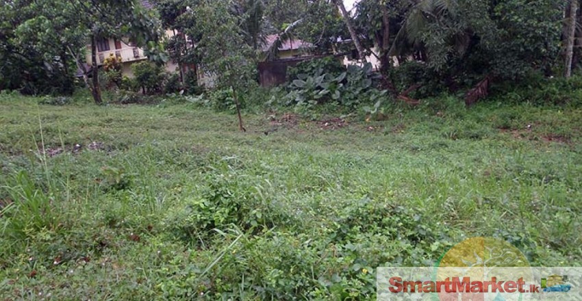 3 Valuable Land Blocks For Sale In Malabe., #3166