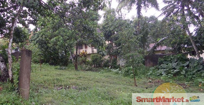 3 Valuable Land Blocks For Sale In Malabe., #3166