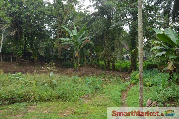 Commercial Land for Sale in Ratnapura