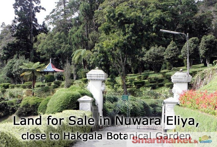Land for Sale in Nuwara Eliya, close to Hakgala Botanical Garden