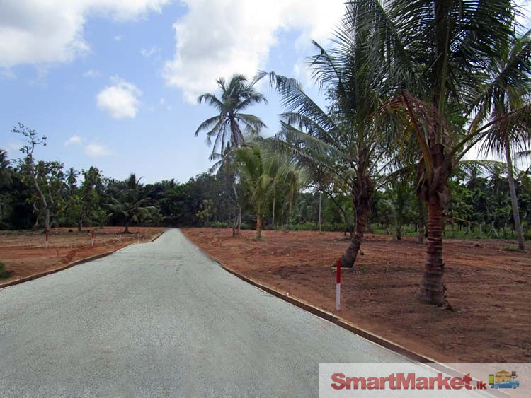 Land  Sale in Katana, Negombo.
