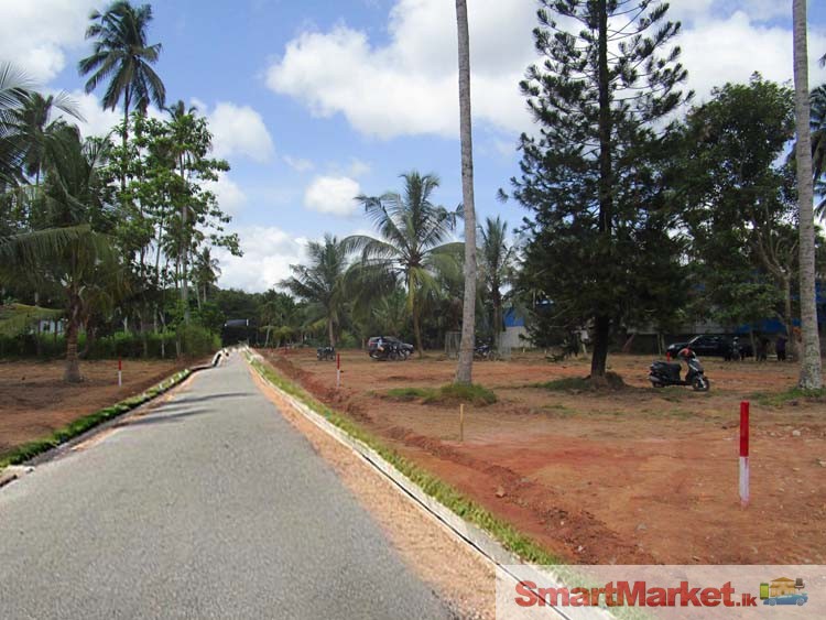 Land  Sale in Katana, Negombo.