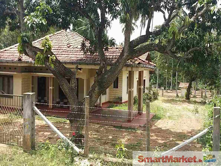 A Valuable Land for Sale in Udubaddawa, Kuliyapitiya.