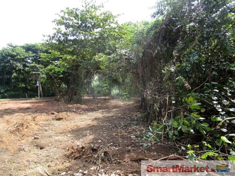 Valuable Land for Sale in Payagala