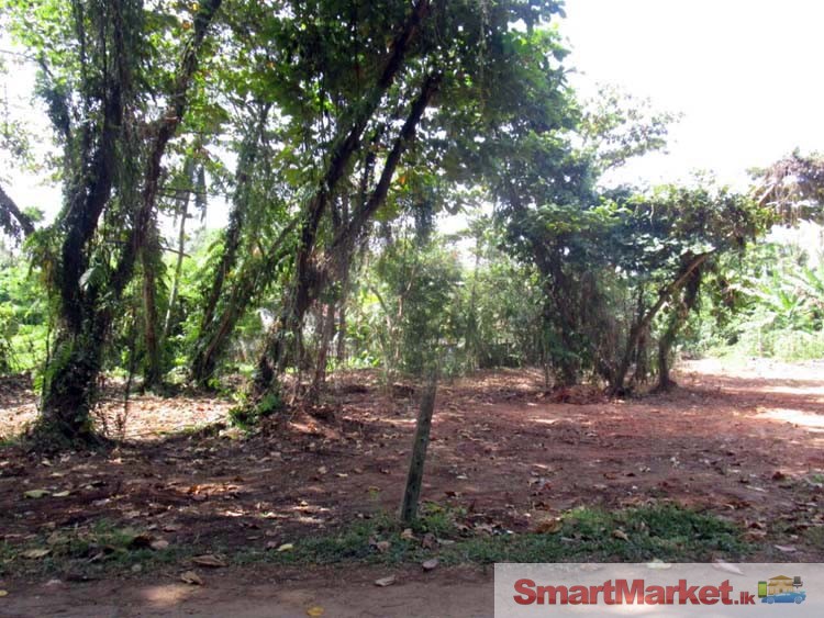 Valuable Land for Sale in Payagala