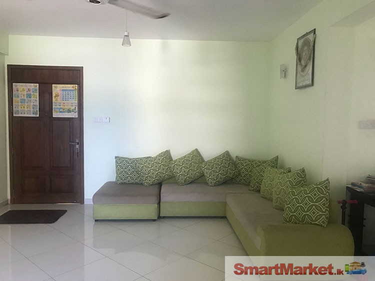 Brand New Apartment for Rent at Colombo 04