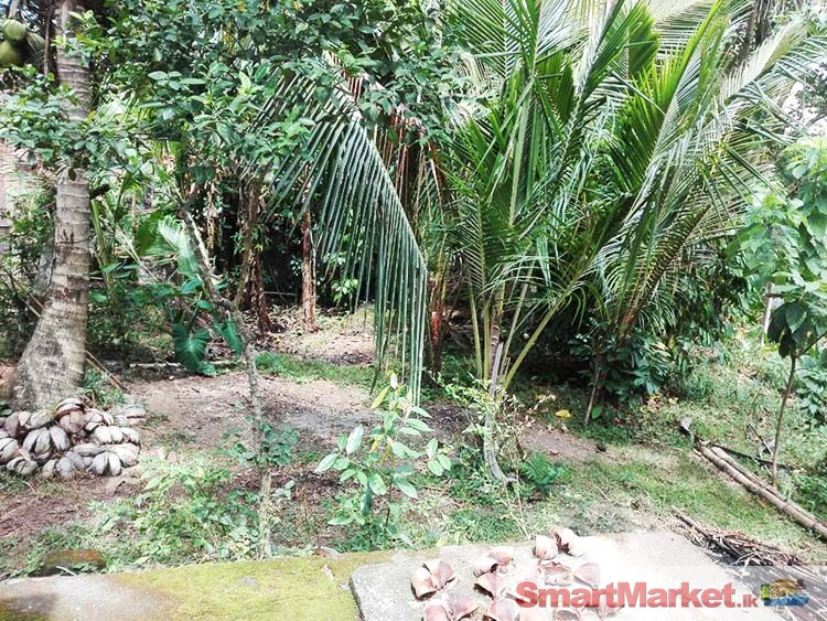 20 Perches Land with a House for Sale at Kottawa.