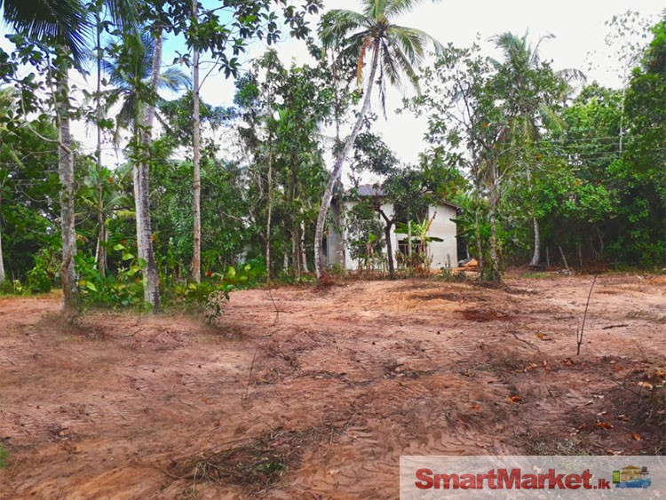 Land for Sale in Horagasmulla, Divulapitiya.