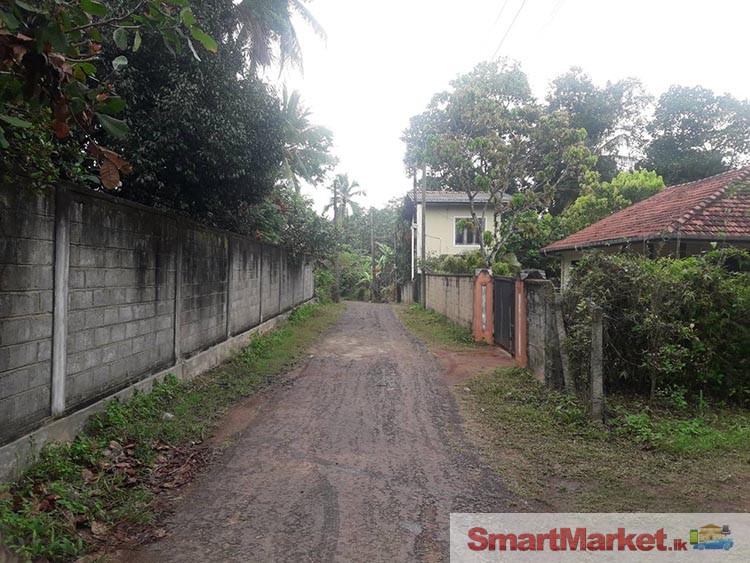 11 Perches Land for Sale in Siyane Road, Gampaha.