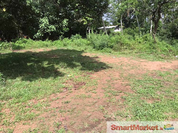 15 Perches Land for Sale in Thalangama