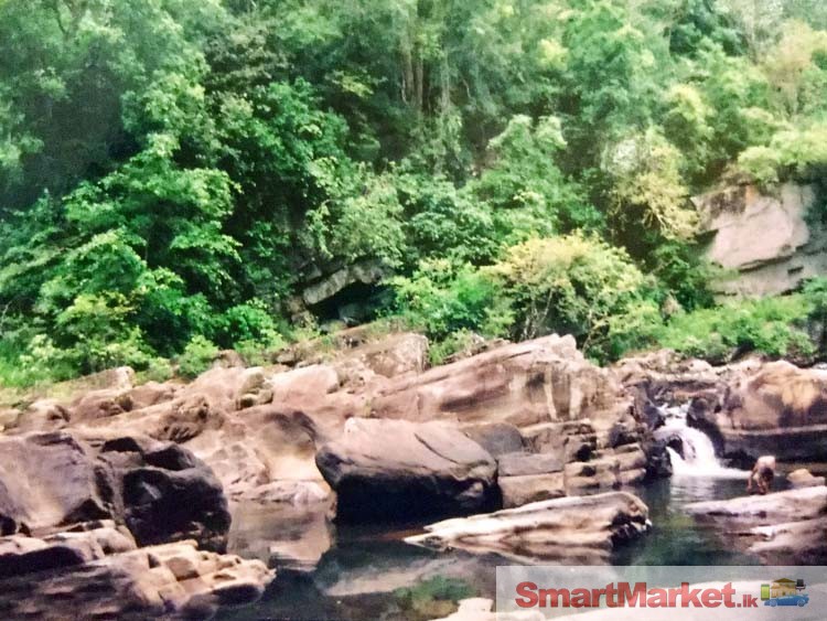 River Bordering Land for Sale in Oruthota, Kandy.