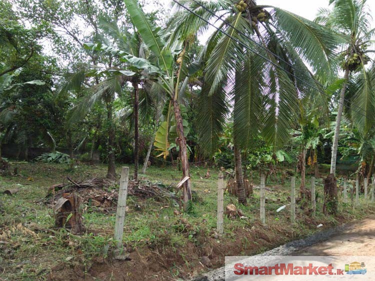 10 Perches each Land Blocks for Sale in Kalutara.