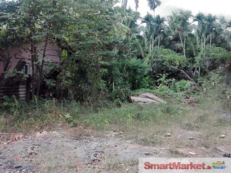 Prime Commercial Land for Sale at Airport Road Minuwangoda