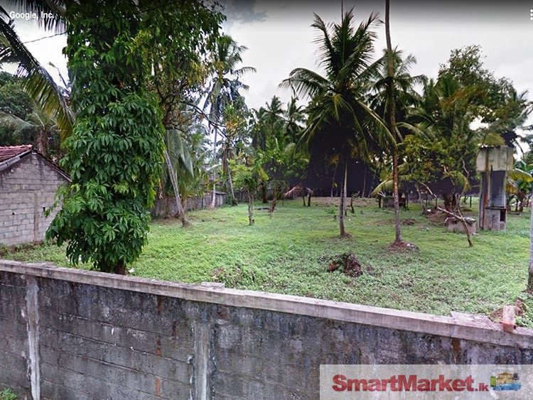 34 Perches Land For Sale In Ja- Ela