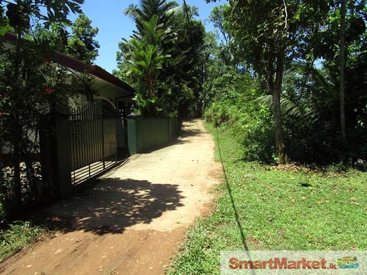 Valuable Land for Sale in Kalutara