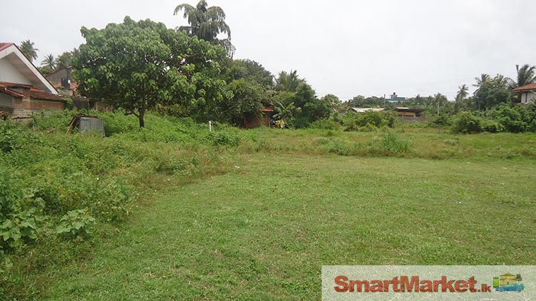 155 Perches Land  for Sale at Kochchikade