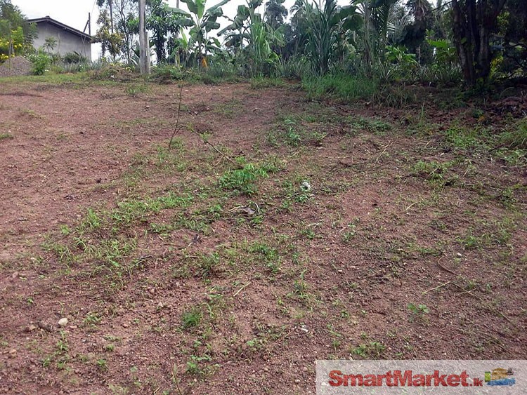 31 Perches Land for Sale in Mirigama