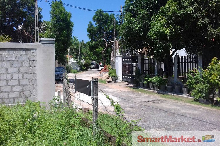 Valuable Land for Sale in Lion City, Katunayake