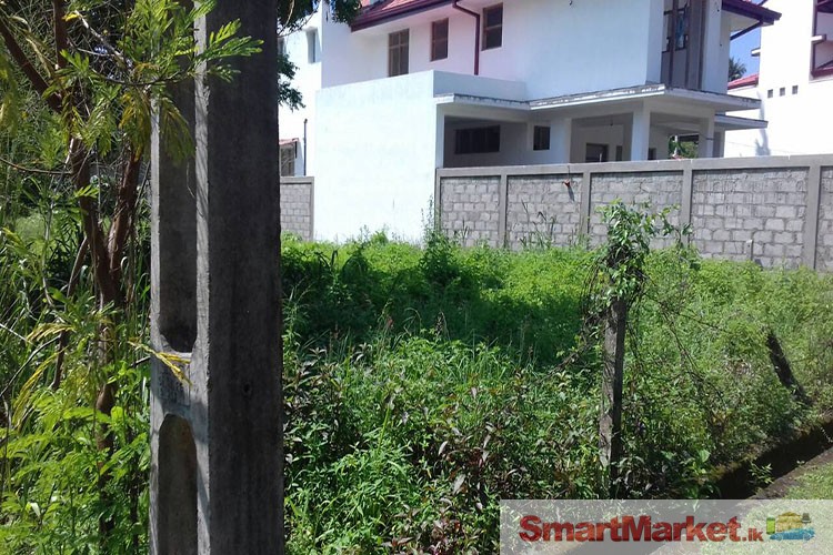 Valuable Land for Sale in Lion City, Katunayake