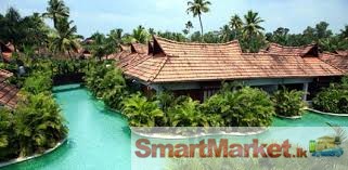 New south india tour packages at cheap rate service