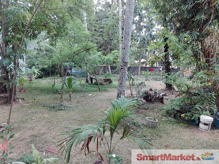 48 Perches Land with House for Sale in Minuwangoda