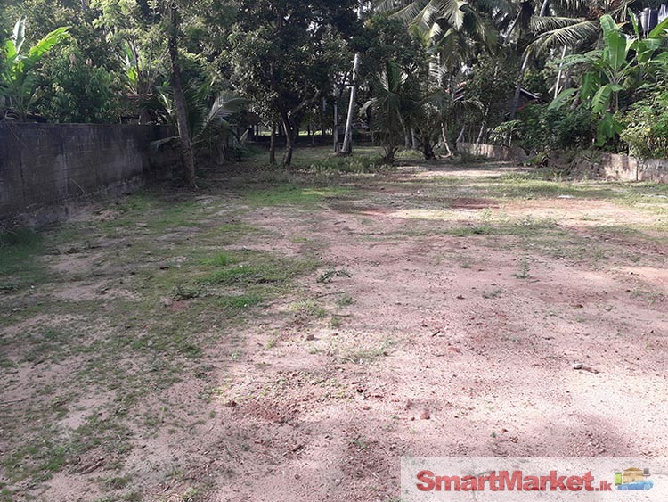 40 Perches Land for Sale in Wennappuwa City