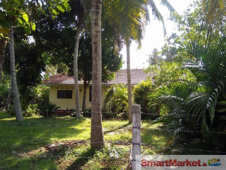 30 Perches Land with House for Sale in Negombo