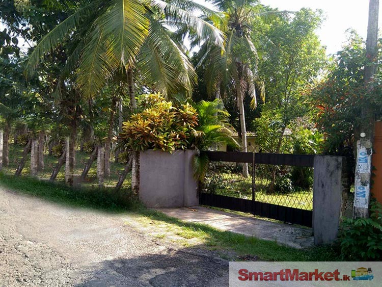 30 Perches Land with House for Sale in Negombo