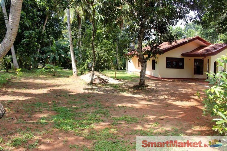 50 Perches Land with House for Sale in Nedagamuwa, Minuwangoda.