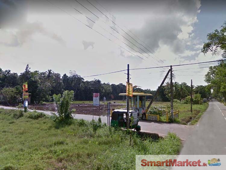 17.5 Perches Land for Sale in Udugampola, Gampaha.