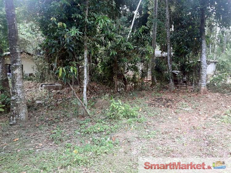 17.5 Perches Land for Sale in Udugampola, Gampaha.