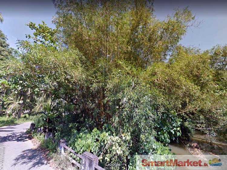 36 Perches Beautiful Land near to Oya for Sale