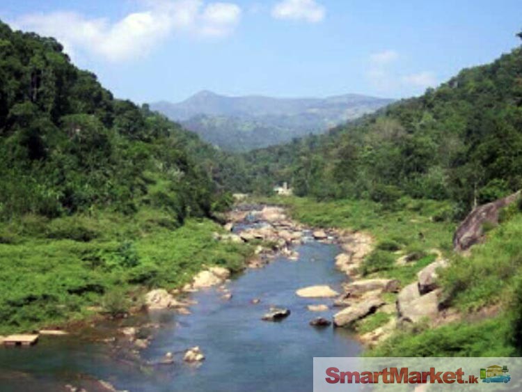 River Bordering Land for Sale at Oruthota, Kandy.