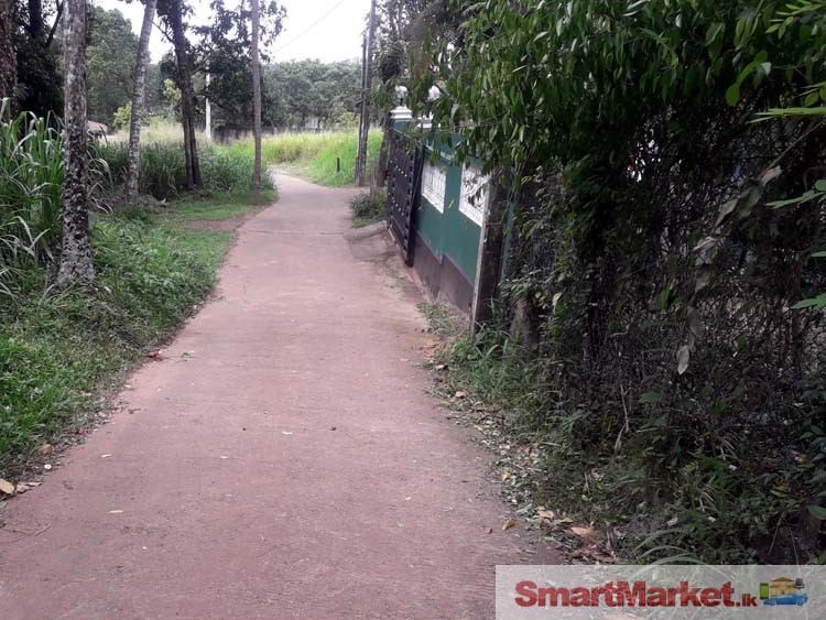 Land for Sale at Imbulgoda, close to Kandy Road