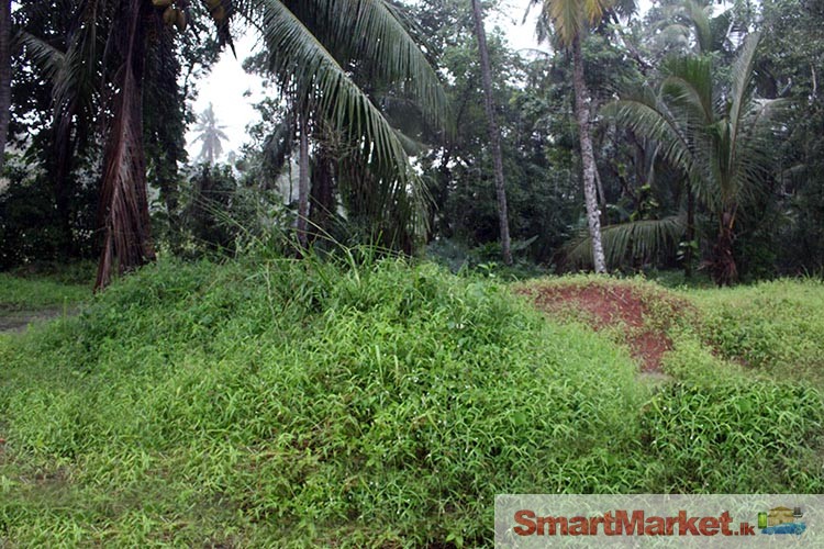 19 Perches Residential Land for Sale in Kaduwela.