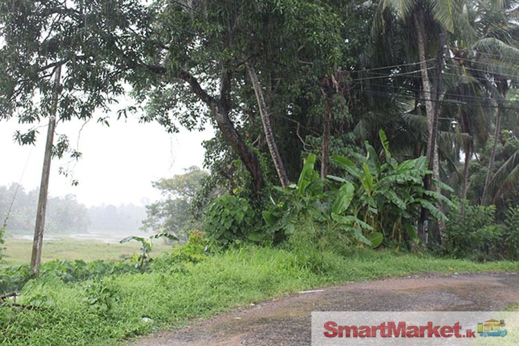 19 Perches Residential Land for Sale in Kaduwela.