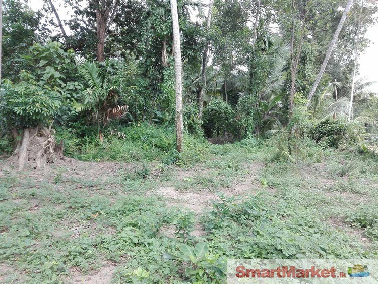 Land with a House for Sale at Yakkala.
