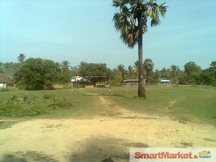 Bare Land for Sale at Trincomalee.