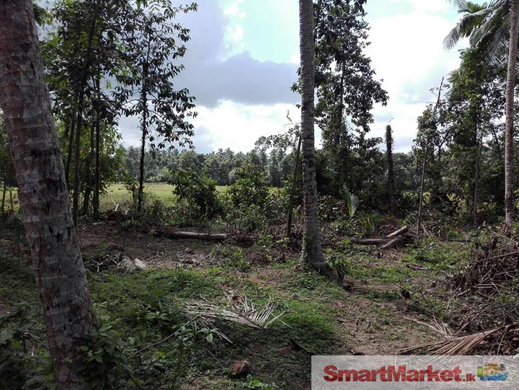 Land with a House for Sale AT Yakkala.