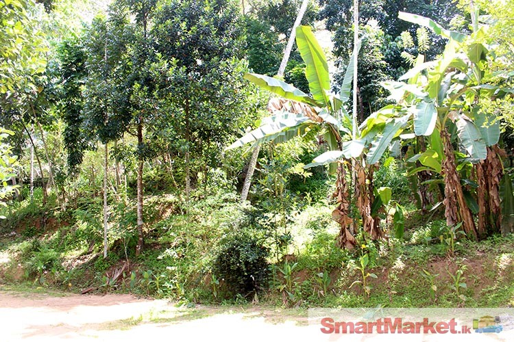 Beautiful 80 Perches Land with House for Sale at Hemmathagama, Mawanella.