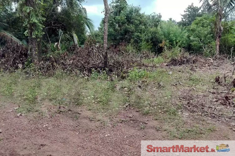 30 Perches Land for Sale at Mapitigama, Malwana.