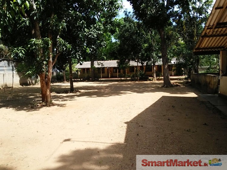 80 P Land for Sale in Kataragama.