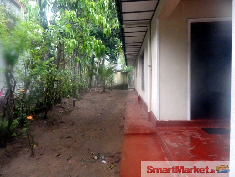 Single Story House for Sale in Matale.