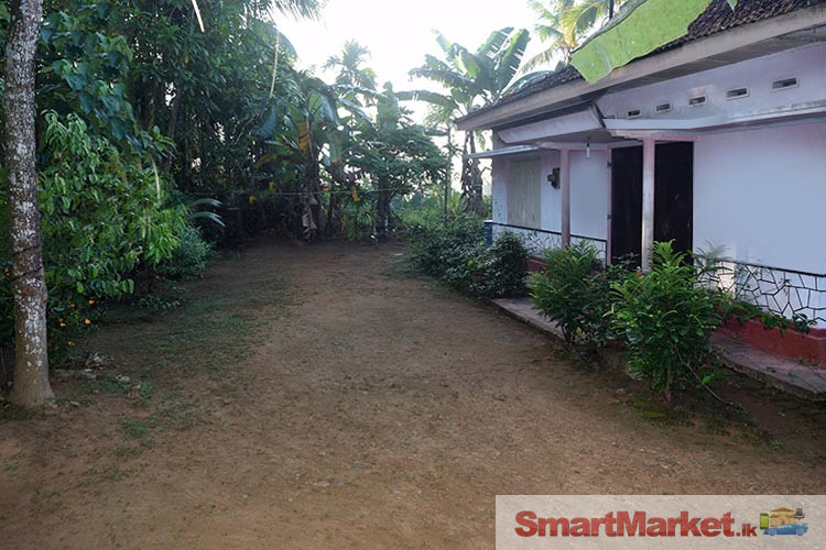 80 Perches Land with a old House for Sale in Karawanella.